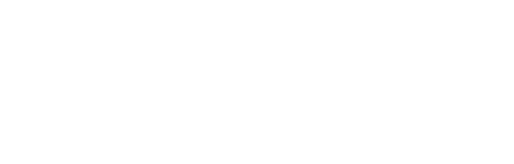 WerteUnion Hamburg Logo
